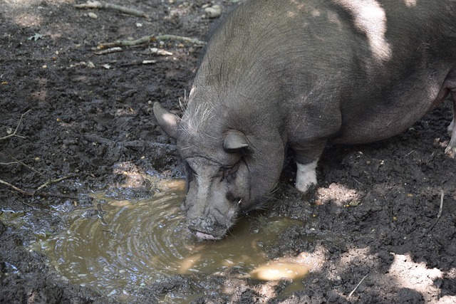 她的表现不 她的表现不
