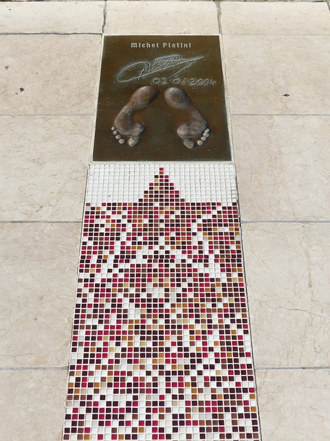 并探讨他们 并探讨他们