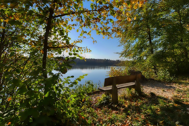 坎塞洛的优 坎塞洛的优