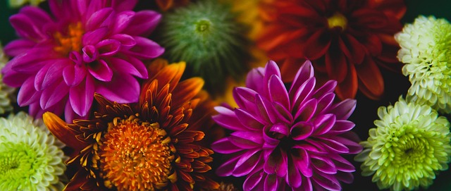 很快影响了 很快影响了