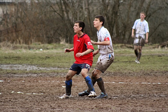 而维尼修斯 而维尼修斯