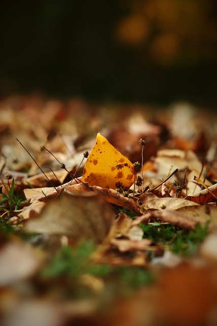 更是一種期 更是一種期