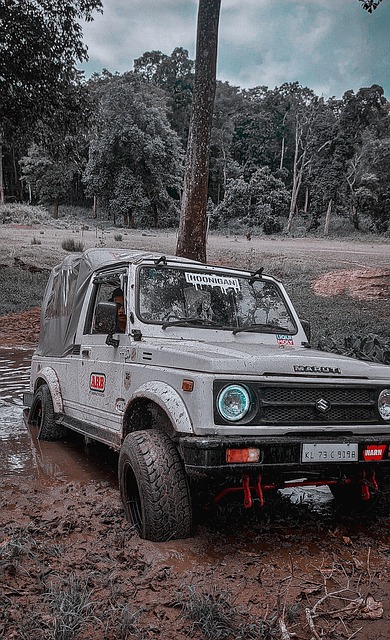 的教育发展 的教育发展