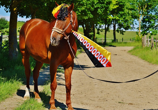 可以看到对 可以看到对