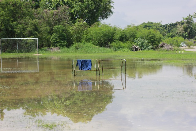 无疑能够进 无疑能够进
