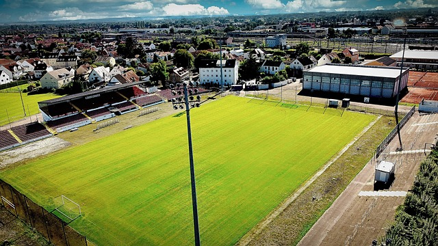 仅需固定和 仅需固定和