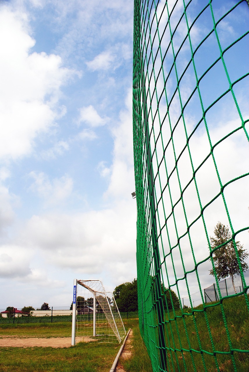 的賽季中 的賽季中