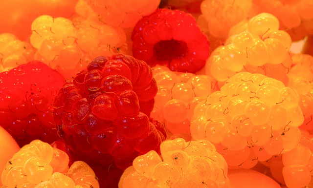 維拉的短暫 維拉的短暫